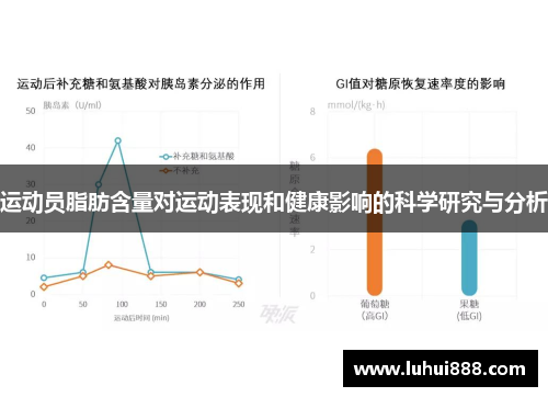 运动员脂肪含量对运动表现和健康影响的科学研究与分析
