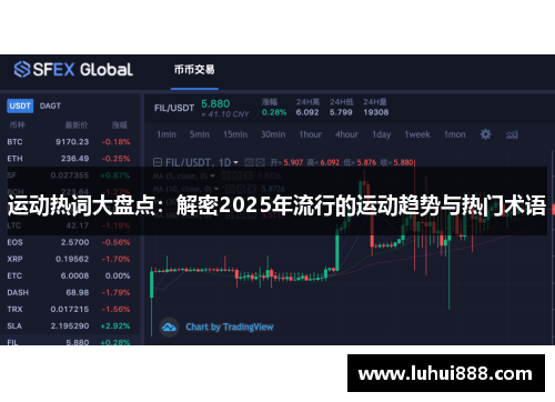 运动热词大盘点：解密2025年流行的运动趋势与热门术语