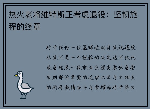 热火老将维特斯正考虑退役：坚韧旅程的终章